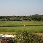 Agroestancia Lloc Nou En De Menorca *
