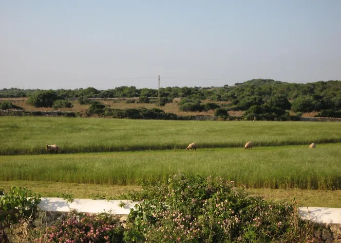 Agroestancia Lloc Nou En De Menorca *